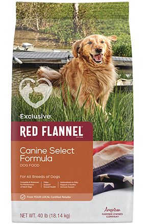 purina red flannel dog food